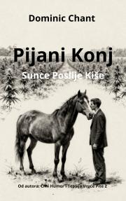 PIJANI KONJ: Sunce poslije kiše